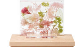 ゆらか 萌花